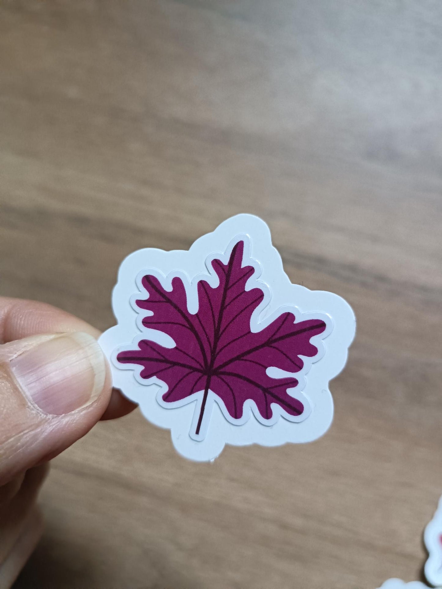 Cozy Autumn Vibes: Pack Stickers for Kindle Kobo E-readers Lovers