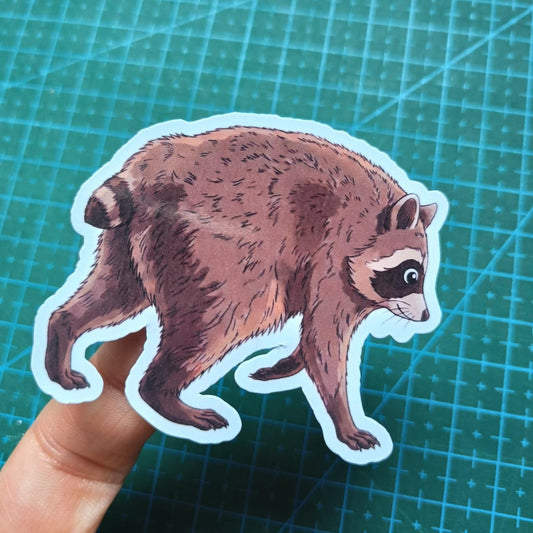 Jimothy The Raccoon - Funny Goofy Vinyl Sticker